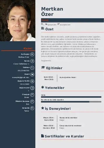 Dalgıç CV Örnekleri cv indir